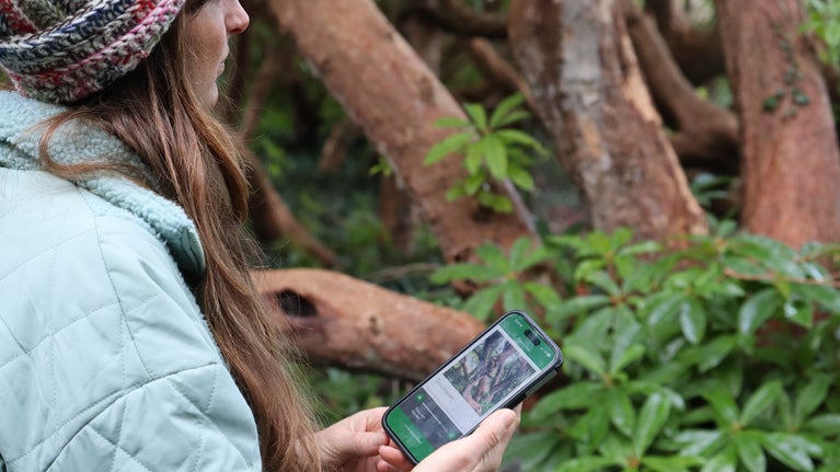 Visitor using the HistoryScapes app on a mobile phone in the garden at Greenway